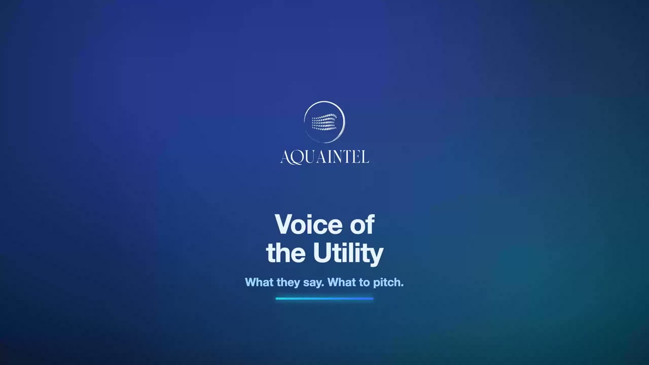 Voice of the Utility